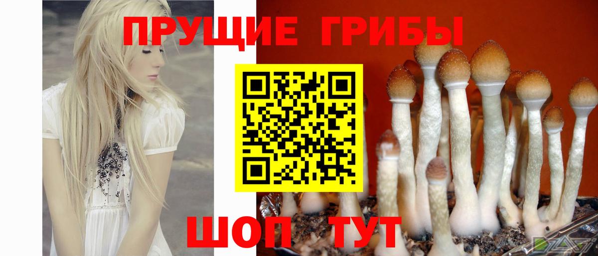 Урюпинск  Псилоцибиновые грибы ЛСД  Вход с VPN 